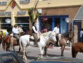 /album/fotogaleria-la-redota-2011/la-redota-pablo-30-jpg/